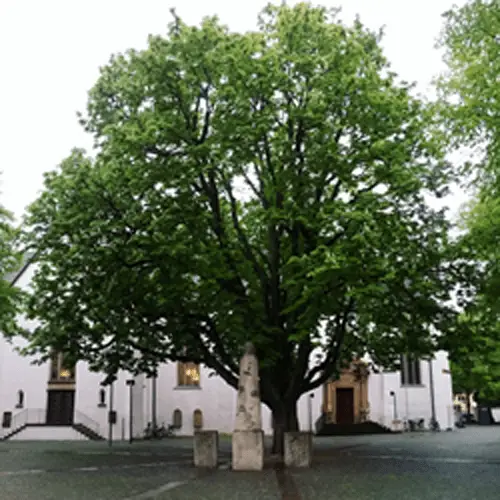 Paderborn
