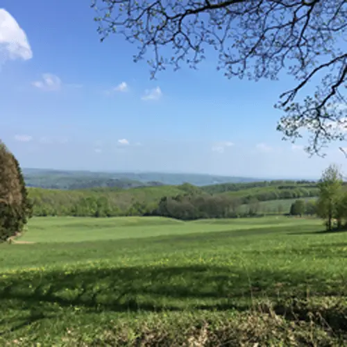 alhausen
