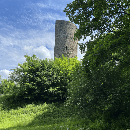 Burgruine Waldenburg