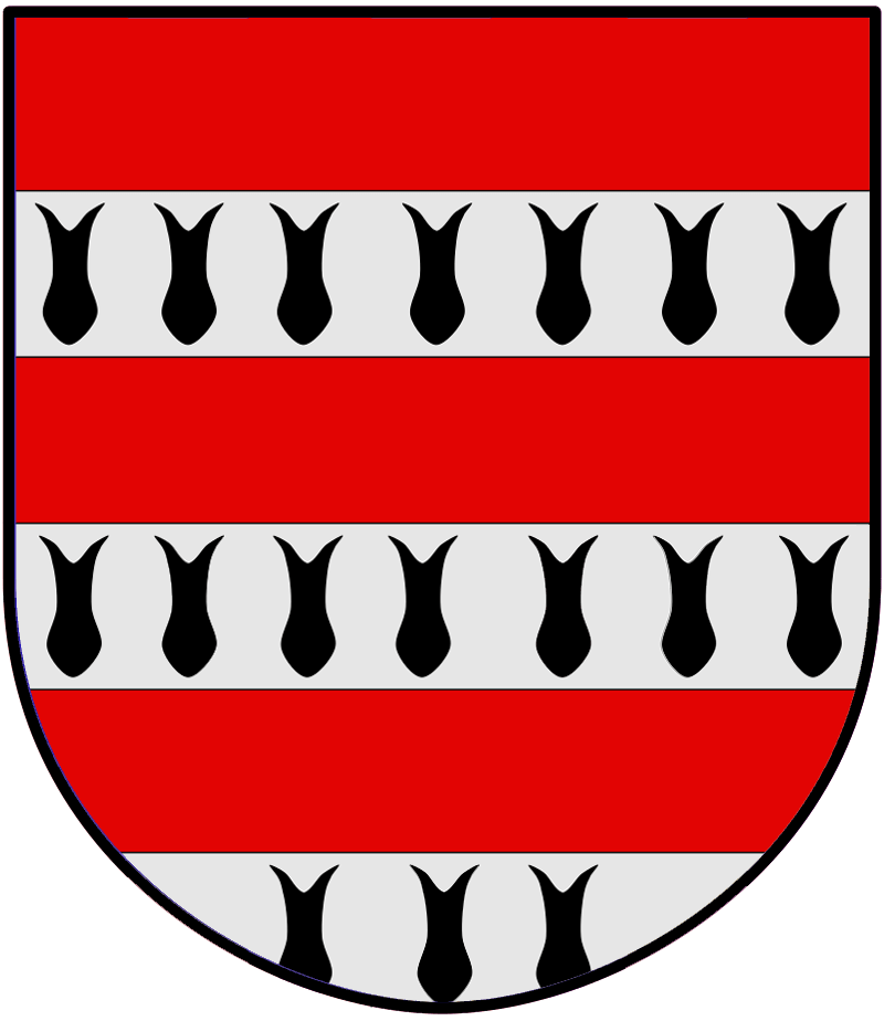 Wapen van Trencavel Carcassonne